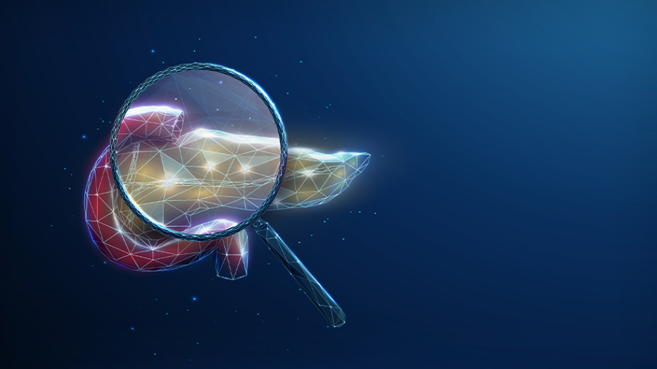 Graphic illustration of pancreas with magnifying glass over top.
